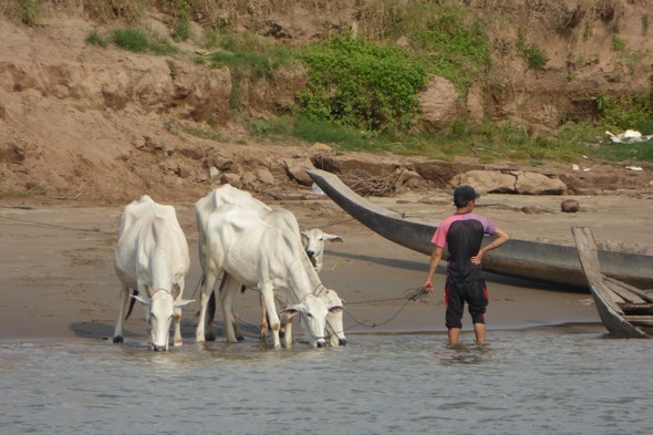 Life on the Mekong in Cambodia