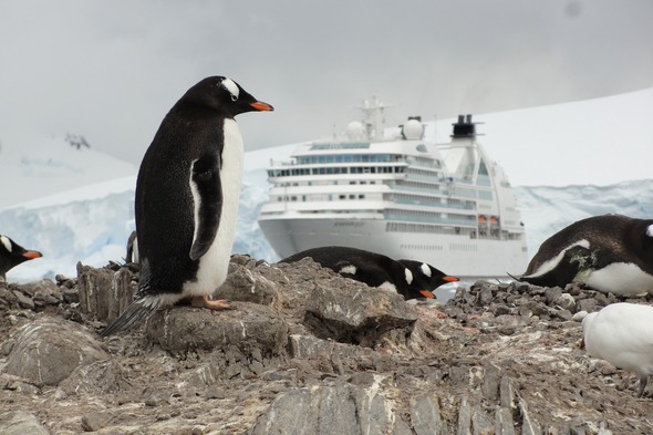 Seabourn Quest in Antarctica