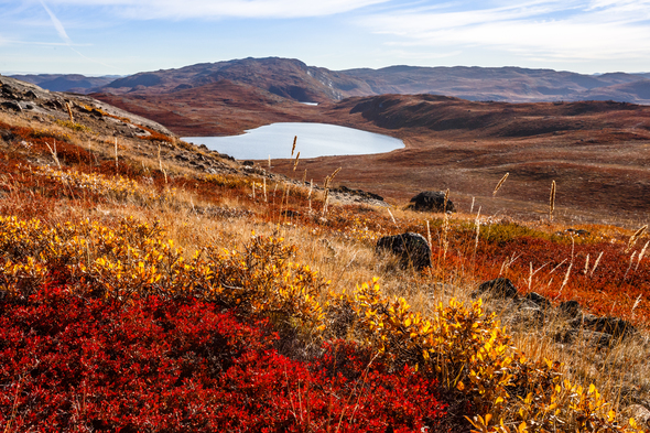 Autumn landscape in Kangerlussuaq, Greenland