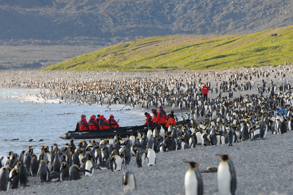 Silversea Expeditions - Zodiac landing in South Georgia