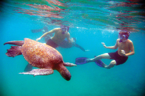 Lindblad Expeditions - Snorkelling in the Galapagos