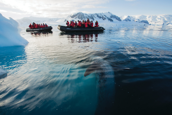 Silversea Expeditions in Antarctica