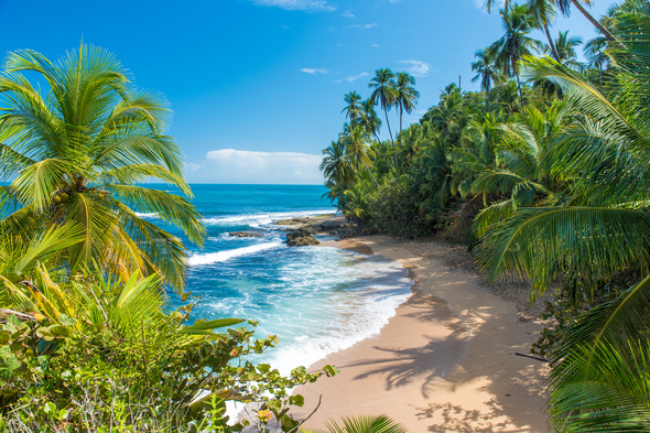 Manzanillo beach near Puerto Limon, Costa Rica