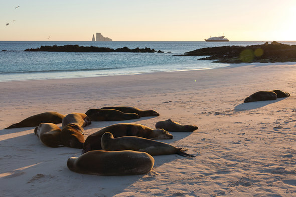 Silversea family Galapagos cruise - read our review to find out more
