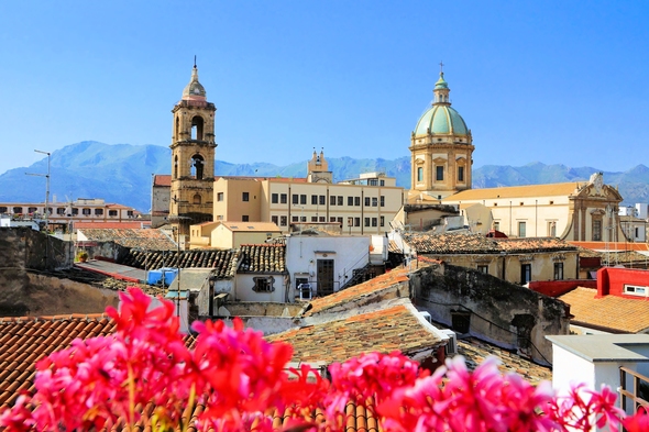 Spring flowers in Palermo, Sicily