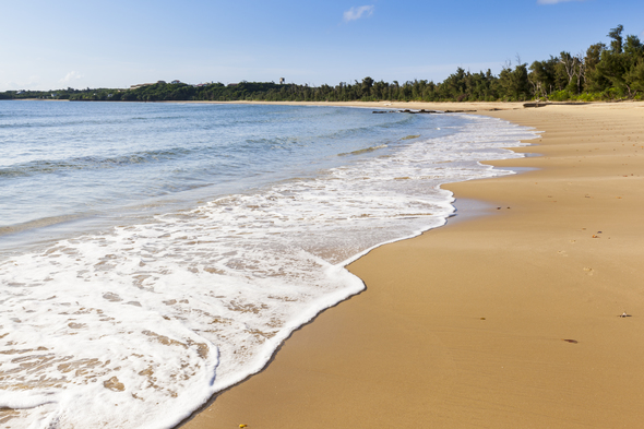 Japanese Subtropical Islands 24 May 22 Mundy Adventures