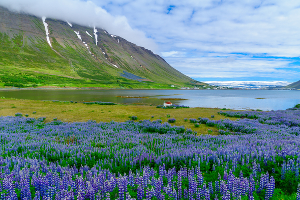 Isafjordur, Iceland