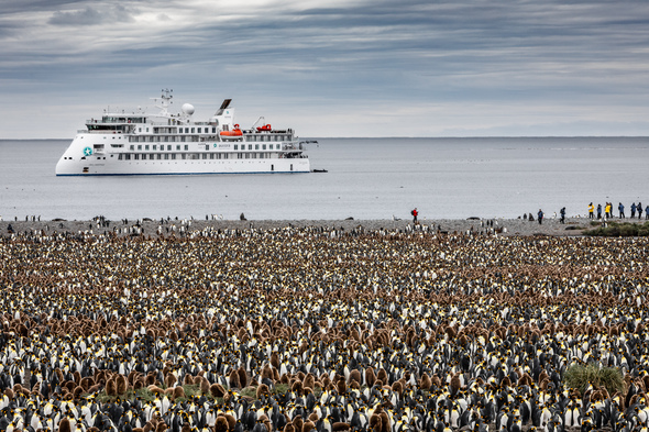 Aurora Expeditions' Greg Mortimer in Antarctica