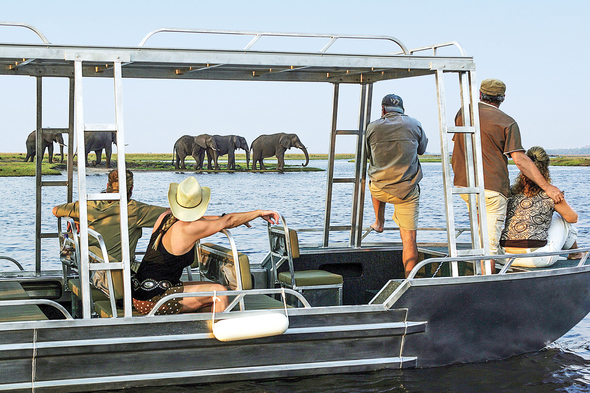 Game viewing on the Zambezi Queen in Chobe National Park