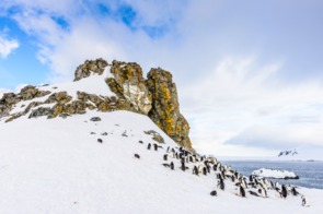 Half Moon Island, South Shetland Islands, Antarctica