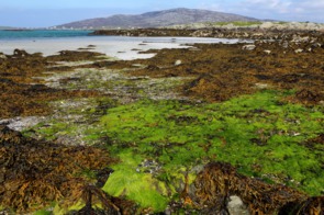 Beach on Eriskay, Outer Hebrides, Scotland