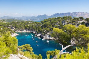 Calanques of Port Pin, Cassis, France