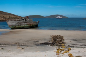 Shipwreck on New Island, Falklands