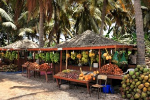 Fruit stall in Salalah, Oman