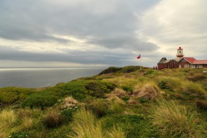 Cape Horn, Chile