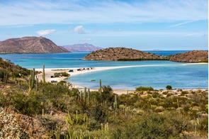 Beach on the Sea of Cortez, Baja California, Mexico