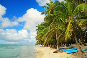 Beach in Guadeloupe