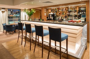 Viking Sineus - Bar