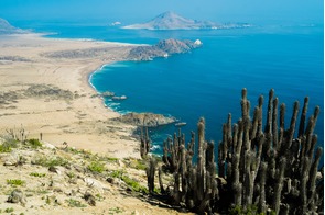 Pan de Azúcar National Park, Chile