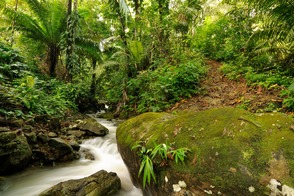 Waterfall in the Darien Jungle, Panama
