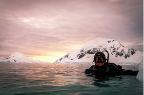 Aurora Expeditions - Snorkelling in Antarctica