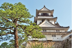 Kochi Castle, Japan