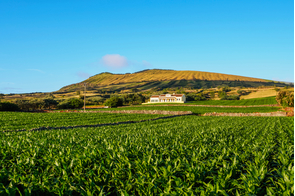 Graciosa island, Azores