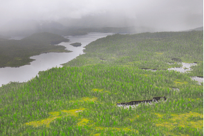 Forests near Prince Rupert, Canada