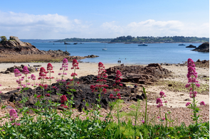 Guerzido, Brehat island, France