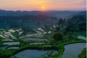 Rice terraces in Niigata, Japan