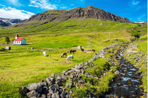 Mjoifjordur village, Iceland