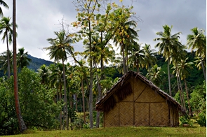 Traditional house on Pentecost Island, Vanuatu