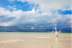 Harbour Island, Bahamas