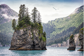 Kenai Fjords National Park, Alaska