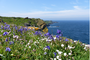 Groix island, Brittany, France