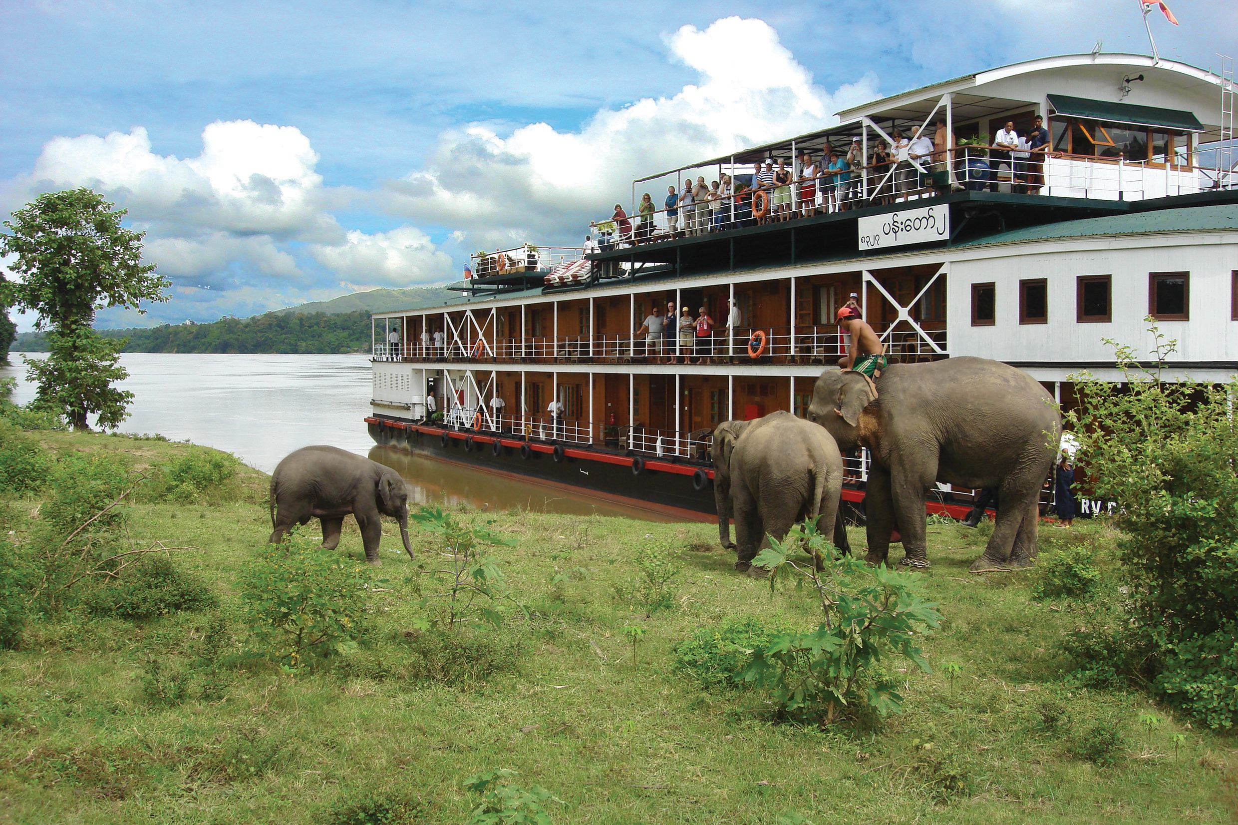 Pandaw II and elephants