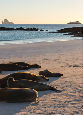Silversea family Galapagos cruise - read our review to find out more