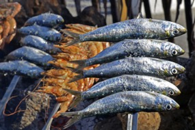 Sardines cooking on a skewer, El Palo, Málaga