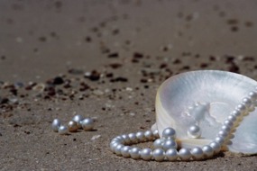 Cygnet Bay Pearl Farm, Broome, Australia