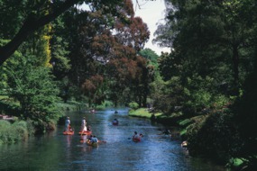 Avon River, Christchurch Botanic Gardens