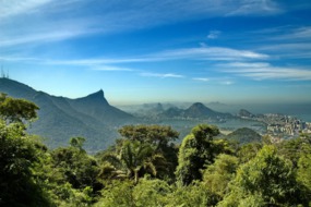 Tijuca forest, Rio de Janeiro