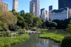 Central Park, New York