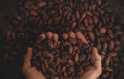 Concept Chocolate