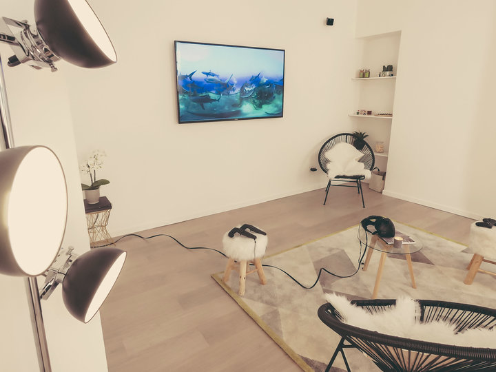 L'appartement Lyonnais  Lyon