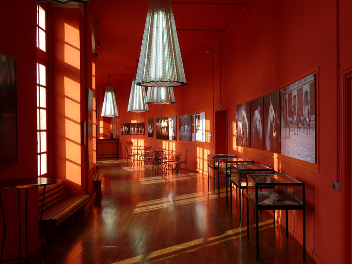 L'Académie équestre  Versailles