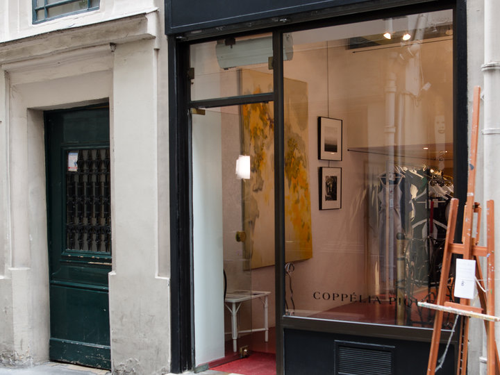 La galerie Pique Paris 75003