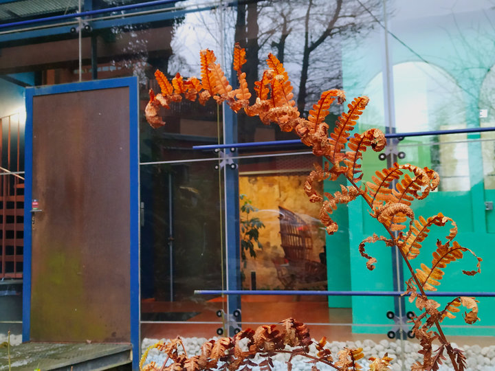 Glass house  Clamart