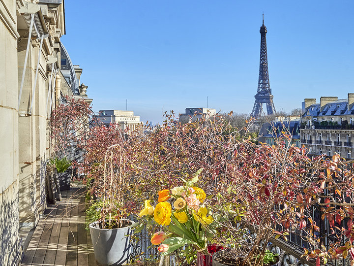 Le Magnifique  Paris 75116