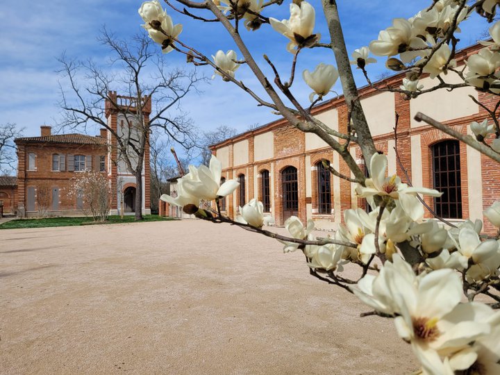La Grande Dame Frouzins