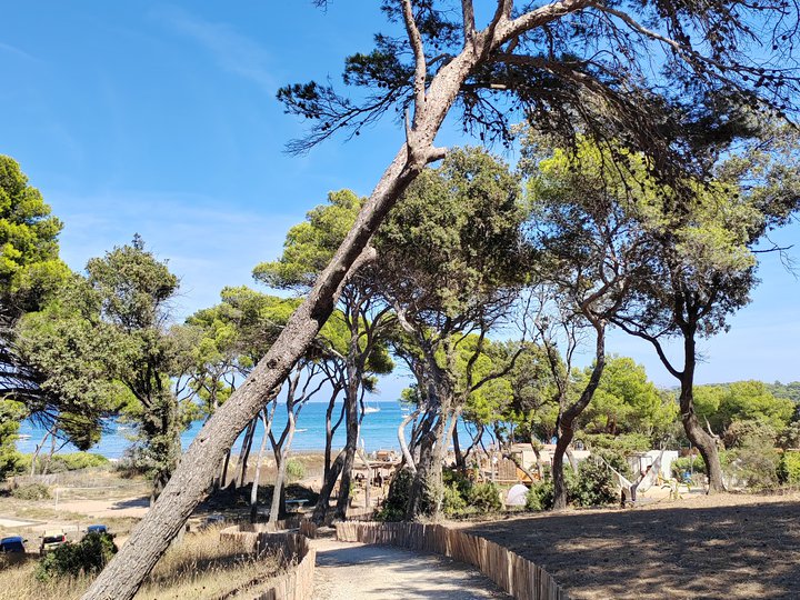 Domaine de la presque'île  hyères